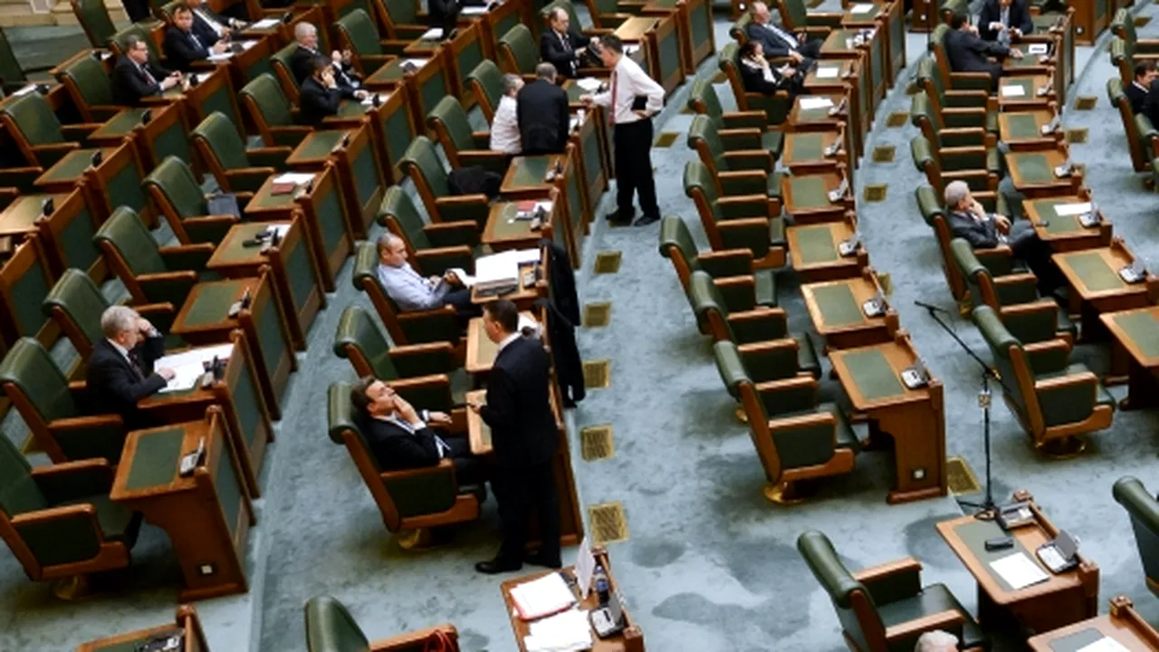 PSD își reconfirmă majoritatea în Senat. Maya Teodoroiu îl va înlocui pe Toni Greblă la Curtea Constituțională