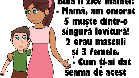 BANC | Bulă: „Mamă, am omorat 5 muşte dintr-o singură lovitură! 2 erau masculi şi 3 femele”