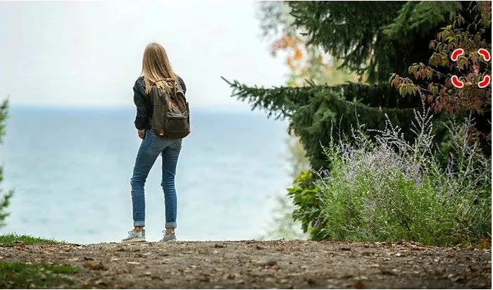 Sursa foto: Captura -jagranjosh.com