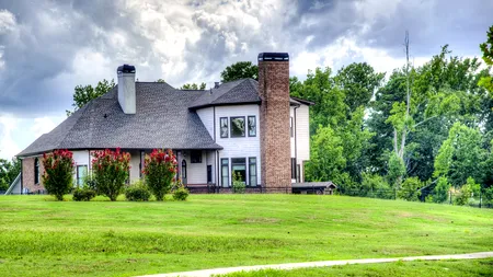 (P) Casă și gradină: cum se pregătesc românii de primăvară?