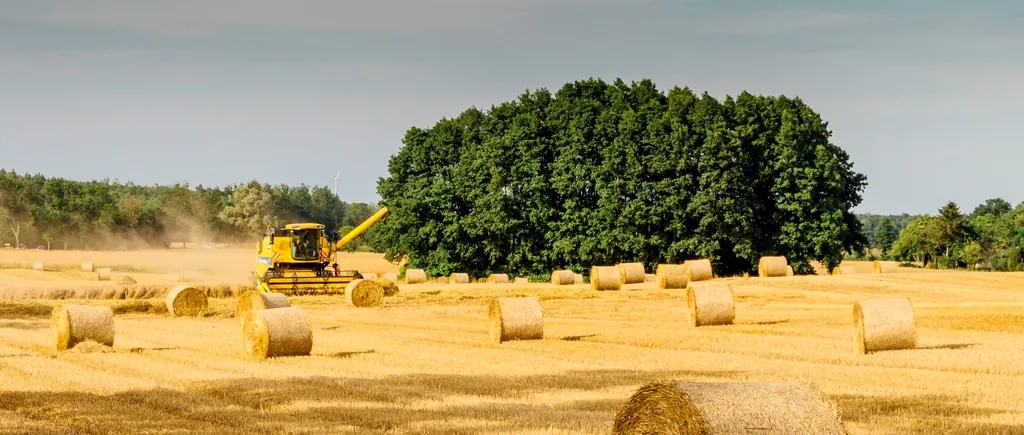 AGRICULTURĂ. Promisiune pentru fermieri. Țărane, dormi liniștit, statul român veghează pentru tine!