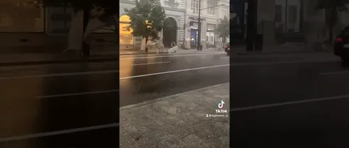 Furtuna a făcut ravagii în Cluj-Napoca. Mai multe sechele aflate în fața unor clădiri au fost doborâte