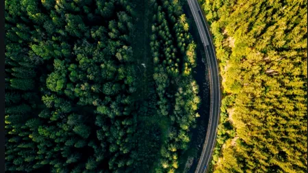 Nou obiectiv UE | Apăsăm pedala reducerii gazelor cu efect de seră până în anul 2040