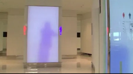 Pe aeroportul Narita din Tokyo au fost instalate toalete ultramoderne. Ce văd cei care trec pe lângă ele