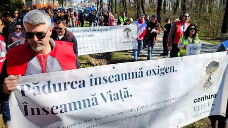 Marcel CIOLACU și Nicolae CIUCĂ susțin proiectul lui Alex Găvan pentru CENTURA VERDE București-Ilfov