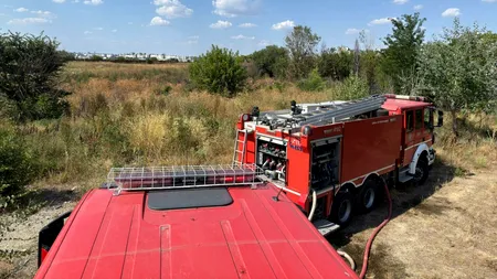 Intervenție de amploare a pompierilor lângă Delta Văcărești, unde a izbucnit un INCENDIU puternic. Un bărbat a fost transportat la spital