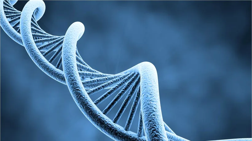 Rolul testelor genetice în cazul asigurărilor private de sănătate