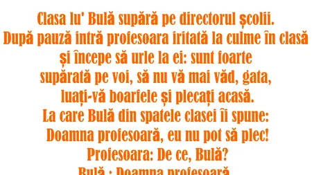 Bancul nopții | Bulă este dat afară de la școală