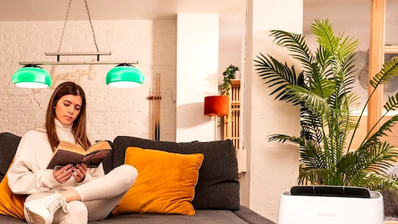 Greșelile pe care le faci iarna atunci când folosești dezumidificatorul. Cum poți evita asta