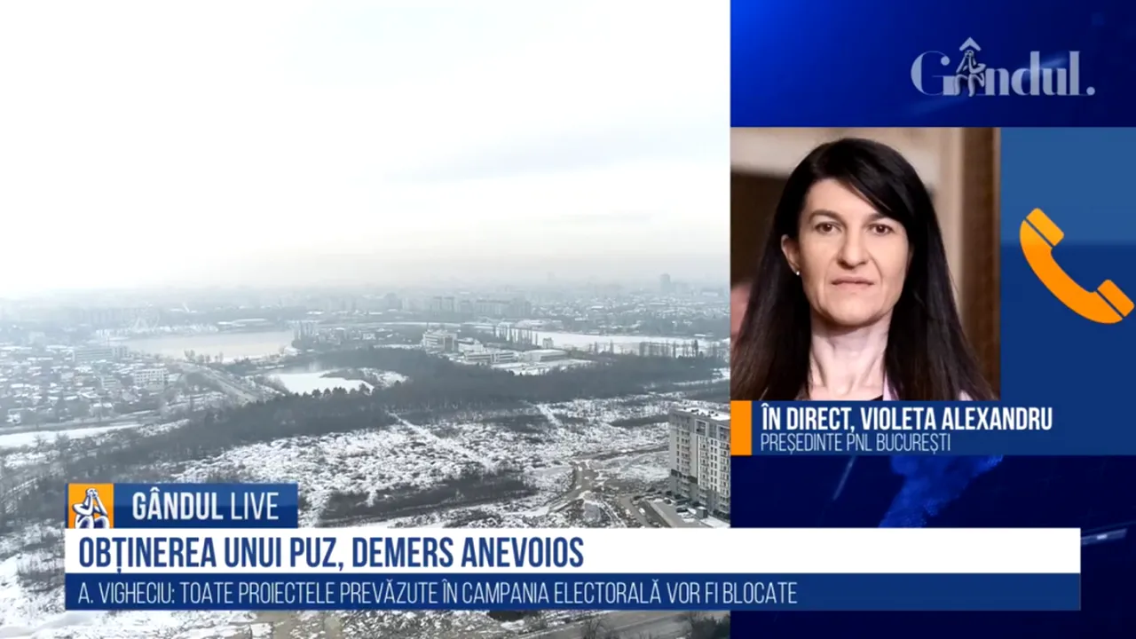 GÂNDUL LIVE. Violeta Alexandru: „Îl susținem pe Nicușor Dan, dar vrem ca lucrurile să se întâmple mai repede” / „Nu avem cum să stăm doi ani”