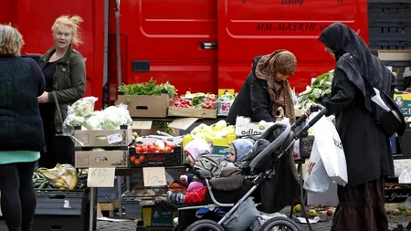 FMI transmite un mesaj Suediei, cu privire la imigranții de pe teritoriul său