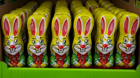 Prețul URIAȘ cu care se vinde un iepuraș de ciocolată în România comparativ cu Marea Britanie. „E japcă pe față”