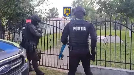 Percheziții în Prahova. Un bărbat antrena și organiza lupte ILEGALE de câini