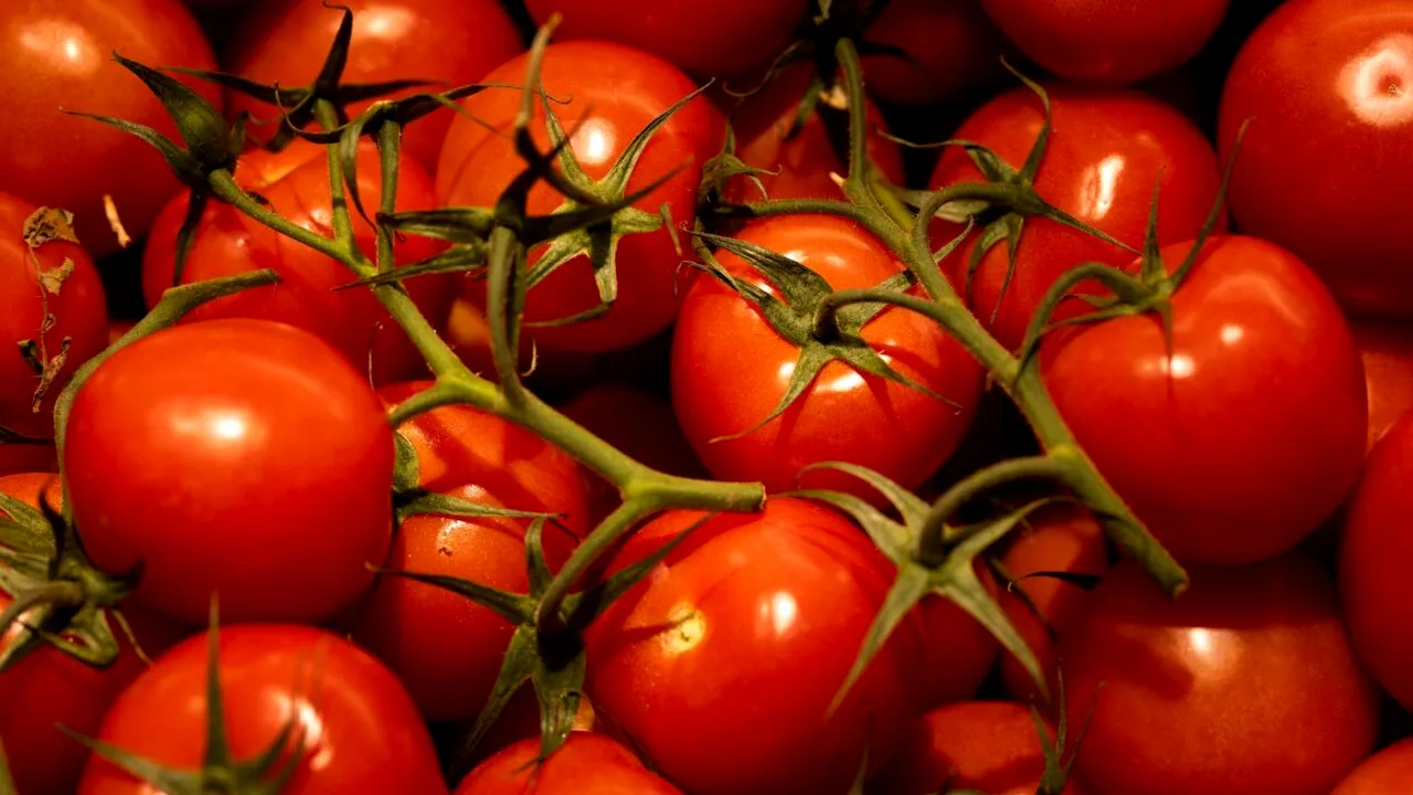 Un fermier scoate la vânzare ROȘII care cântăresc între 500 și 600 grame după ce a primit ajutor de la statul român, deși a trebuit să se și împrumute