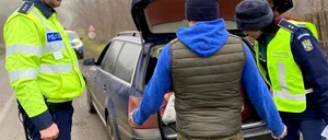 Amendă de 50.000 de lei pentru o șoferiță din Dorohoi. Ce au găsit polițiștii în portbagajul mașinii ei