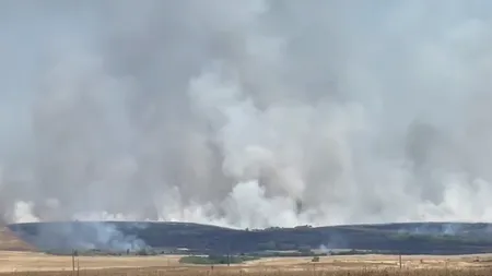 VIDEO | Octavian Berceanu despre incendiile de miriști: Focul se întinde cu viteză foarte mare și cenușă rezultată se împrăştie pe distanţe mari, poluând grav aerul