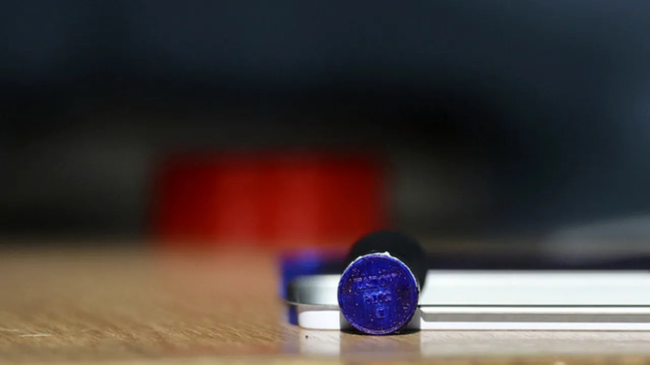 Prezența la vot în stațiunea Păltiniș, la ora 12.00, 365%