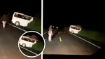 O furgonetă a lovit un elefant într-un parc național din Uganda. Trei oameni au murit, alți patru au fost răniți