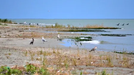 Cel mai nou pământ românesc. MOTIVUL pentru care accesul pe insulă este interzis