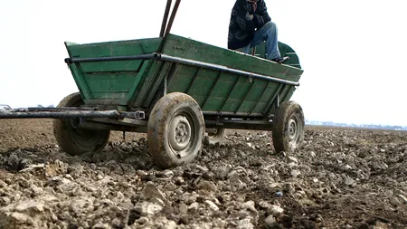 The Independent lansează o nouă ipoteză: un alt animal aruncat în scandalul cărnii