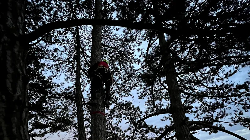 Parapantist rămas blocat într-un copac, la 15 metri de sol, pe dealul Lempeș. Bărbatul a fost coborât abia după 3 ore