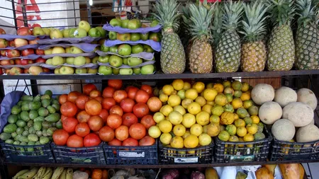 13 alimente pe care să le consumi dacă vrei să ai un păr mai SĂNĂTOS. „Trebuie să alegeți mâncăruri bogate în...”