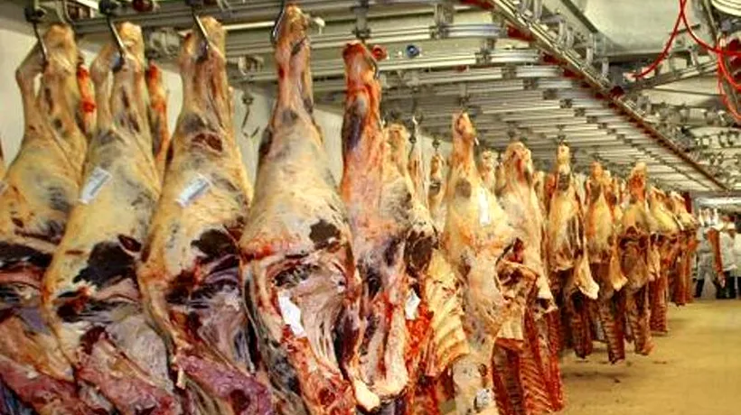 Carne de cal etichetată drept carne de vită, descoperită în Ilfov. Președintele ANSVSA: O firmă din Alba falsifica etichete
