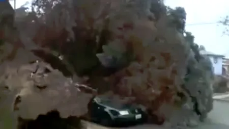 Doi morți și peste 360.000 de locuințe fără electricitate după furtunile din SUA