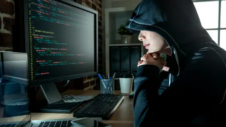 Caz incredibil de fraudă pe internet: O suceveancă s-a dat drept polițistă și i-a furat banii unei mame care are un bebeluș grav bolnav