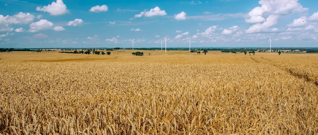 Locul din România în care hectarul de de pământ se vinde cu 30.000 de euro