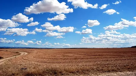 EXCLUSIV GÂNDUL FINANCIAR: Programul AGRO IMM Invest este blocat, nu are norme de aplicare și vine târziu în sprijinul fermierilor. Un miliard de lei zace în seifurile Statului