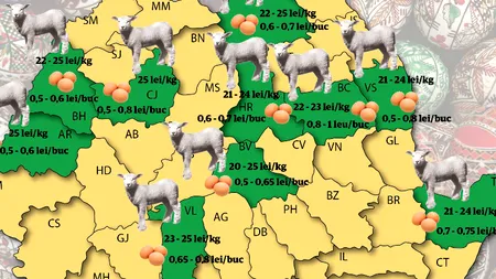 Drob de miel, friptură de miel, ciorbă de miel - câți miei se vor vinde în România în această săptămână. HARTA PREȚURILOR pentru masa de Paște