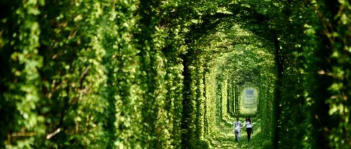 GALERIE FOTO. ''Tunelul dragostei'', unul dintre cele mai romantice locuri din lume