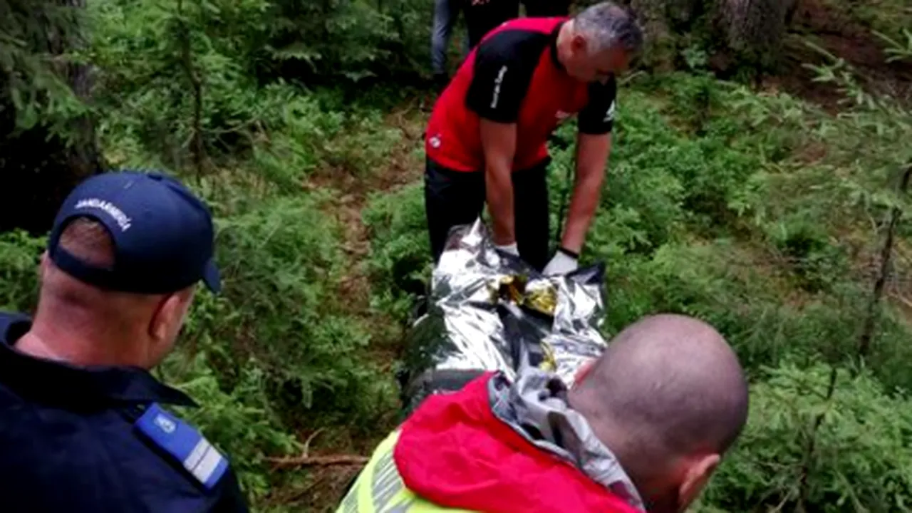 Ursul care l-a omorât pe ciobanul în vârstă de 26 de ani, pe o pășune din Harghita, a fost găsit mort în pădure