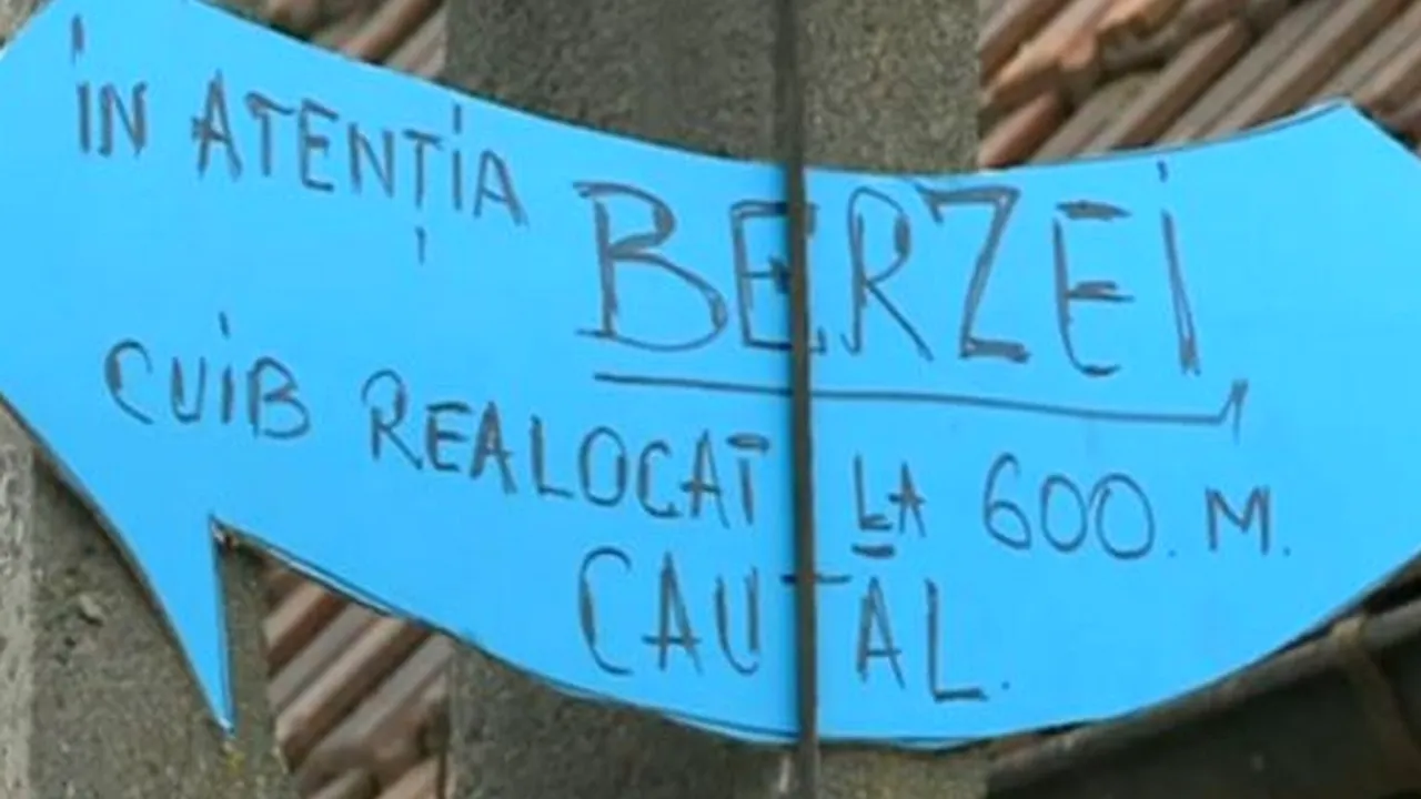 Au mutat cuibul unei berze prin ordin de ministru, apoi i-au lăsat un indicator. Ce s-a întâmplat când pasărea s-a întors