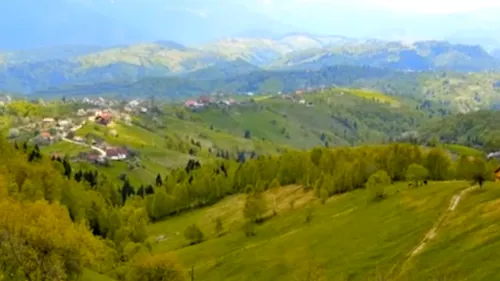 Cum arată satul din județul Brașov care a ajuns să fie lăudat în Financial Times
