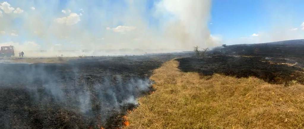FOTO | 400 de hectare din Poligonul Babadag au luat foc în urma activităţilor executate de militari francezi. Zeci de pompieri au intervenit pentru stingerea incendiului