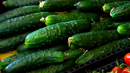 Castraveții se vând cu 1 leu la fermă și 7 lei la raft. De unde vin diferențele URIAȘE între prețurile de producător și cele din magazine și piețe