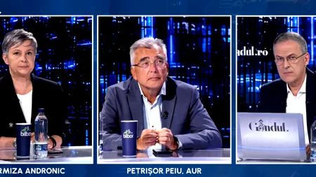 Petrișor Peiu acuză ambasadele Franței și Germaniei că izolează partidul AUR. „Americanii ne cheamă la discuții, ei nu”