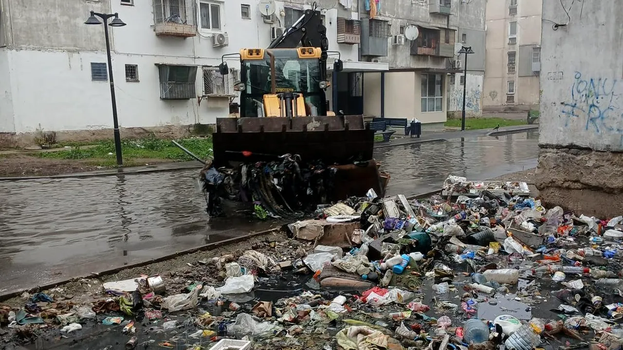 (P) Primăria Sectorului 5 a intervenit pentru salubrizarea Aleii Livezilor