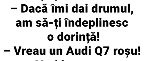 BANC | Bulă prinde peștișorul de aur: „Dacă îmi dai drumul, am să-ți îndeplinesc o dorință!