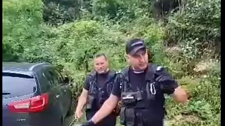 VIDEO | Viperă cu corn, îndepărtată de jandarmi din apropierea unei pensiuni