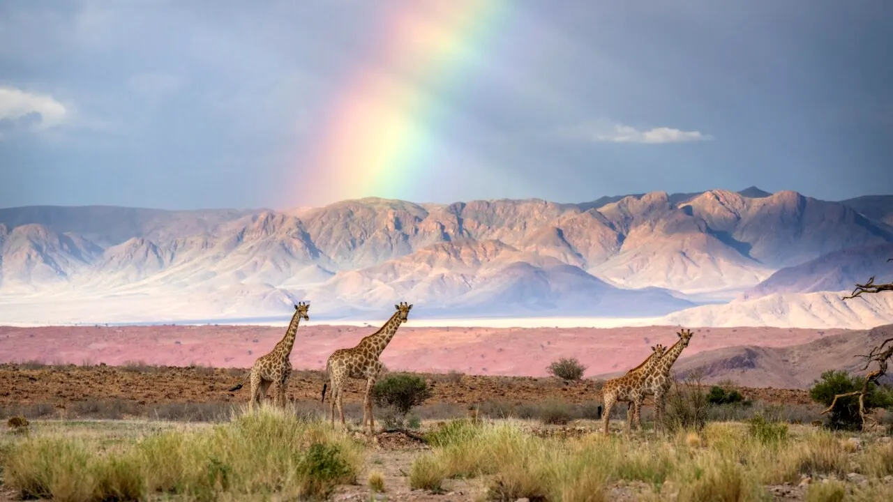 Povestea unei fotografii fabuloase, despre care multă lumea credea că este făcută cu inteligența artificială. Cum a fost surprinsă imaginea uimitoare