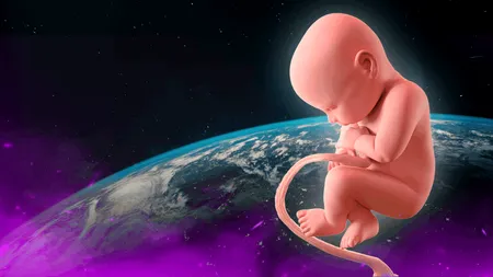 Studiu. Houston, avem o problemă. Sex în spațiu și reproducere în imponderabilitate; nu mai este SF