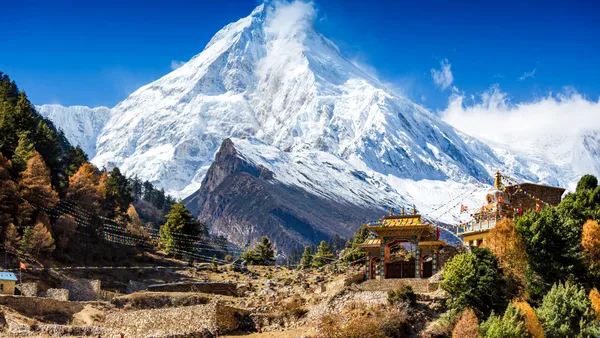 Pasărea din Himalaya care își schimbă sunetele din cauza oamenilor. Ce au descoperit cercetătorii