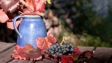 Doi bărbați din Neamț s-au intoxicat cu dioxid de carbon de la mustul fermentat