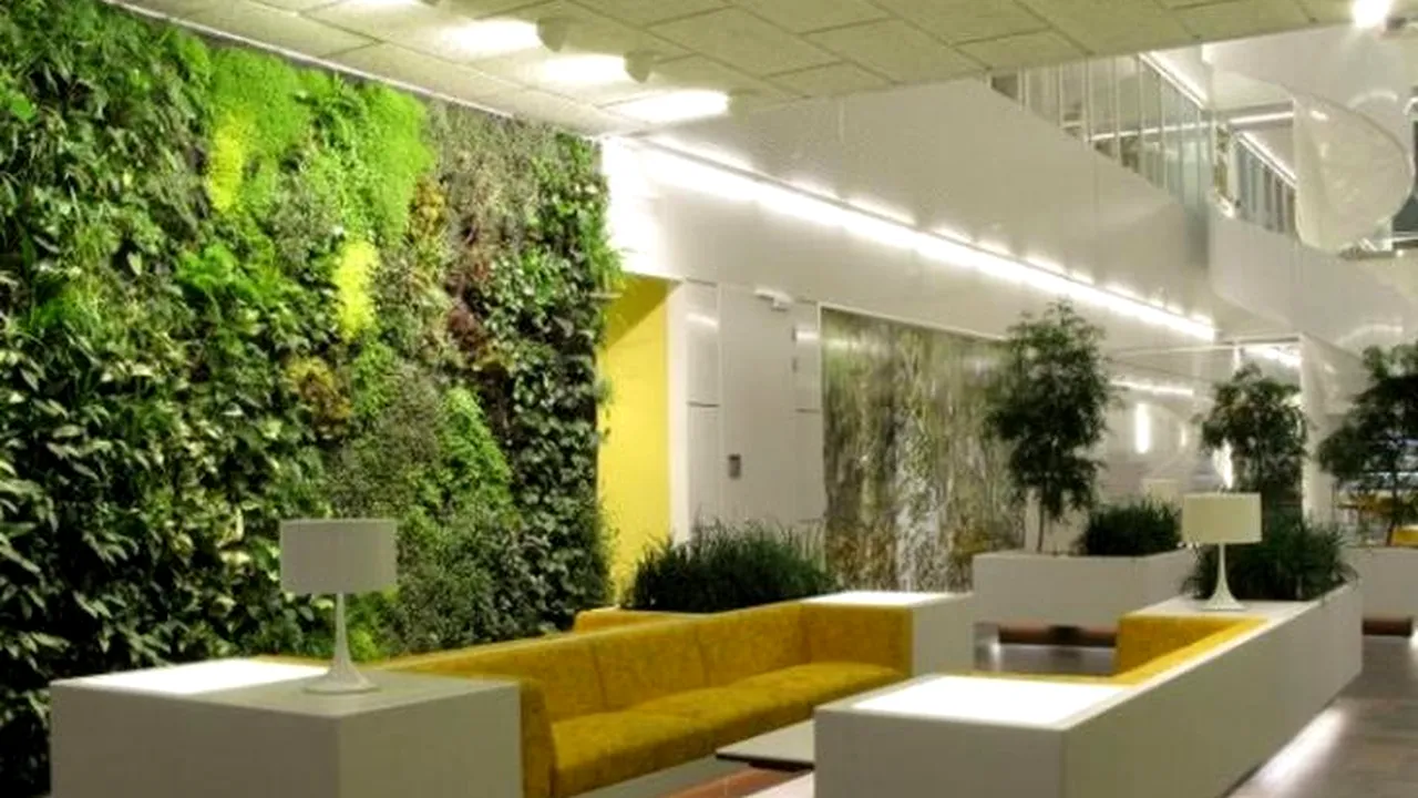 O soluție simplă prin care angajații devin mai productivi și mai fericiți