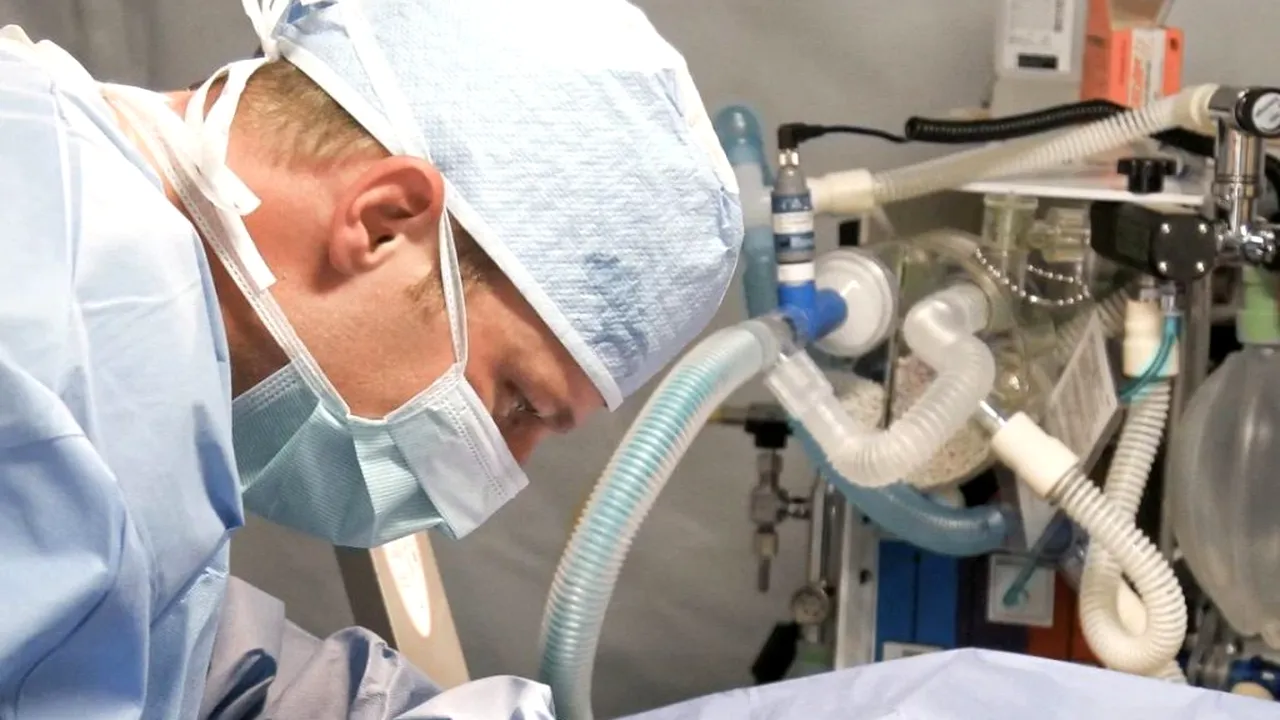 MĂRTURIE. Medic rezident, dat afară din apartamentul în care locuia cu chirie: „Mi-a spus că a început lupta pentru supraviețuire”