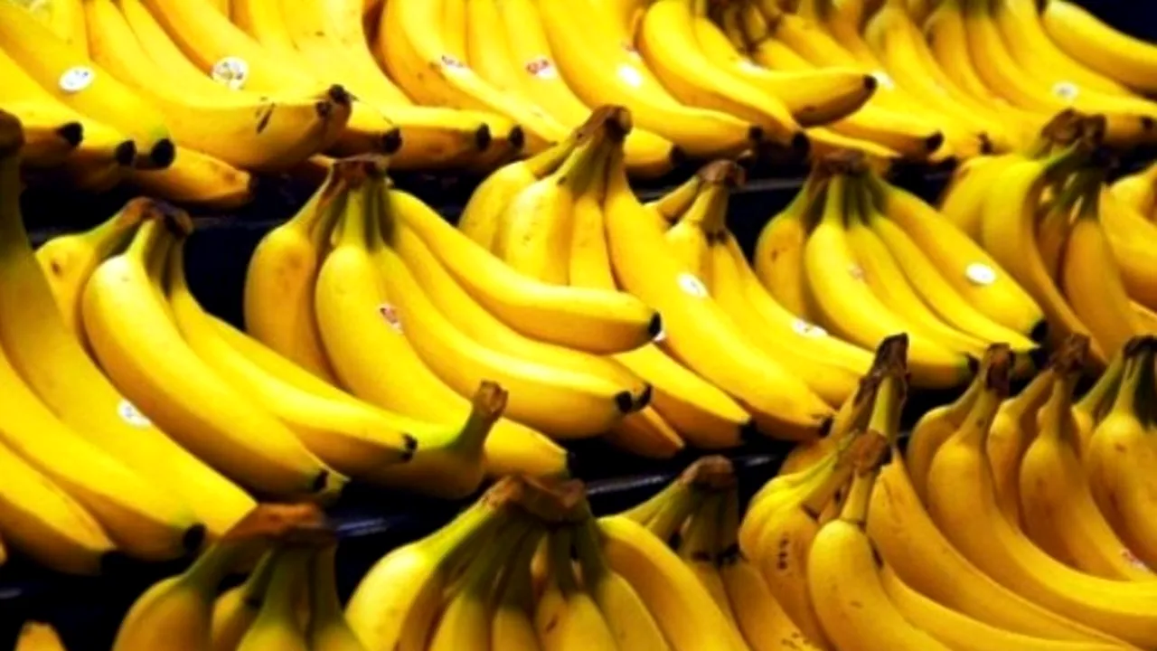 Bananele ar putea dispărea de pe piață