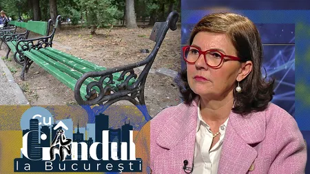 EXCLUSIV VIDEO | Cum explică șefa ALPAB sumele mari pentru băncile din parcuri. Corina Bega: „Avem nevoie de lemn tare. Calitatea costă, suntem capitală europeană”